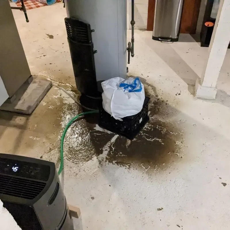 Sewage Backup Cleanup Service in Yaurel, PR